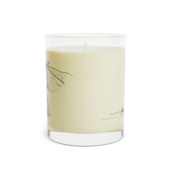 Colorado Ski Mountains: STEAMBOAT: Scented Candle - Full Glass, 11oz - Image 13